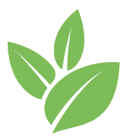 Buzz Spanish Moss Removal