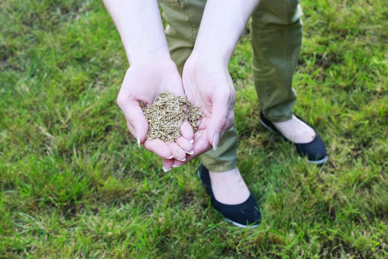 Lawn Damage Prevention