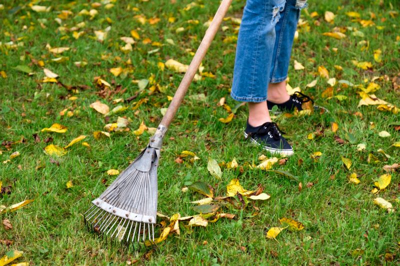 Raking Leaves Effectively