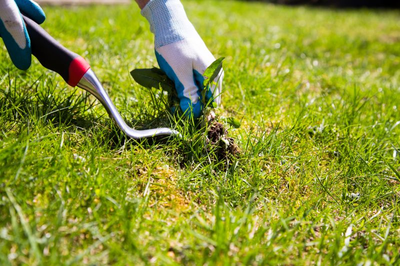 Garden Deweeding in Honolulu, HI