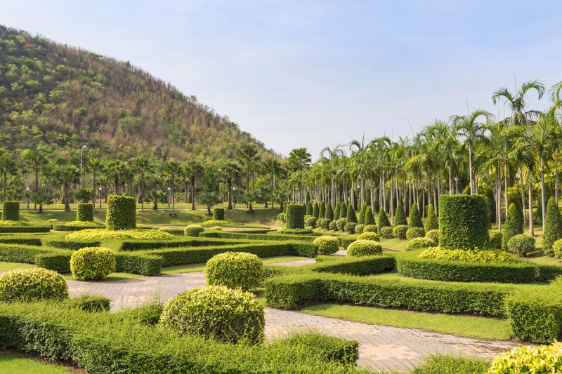 Garden Path with Shrubs