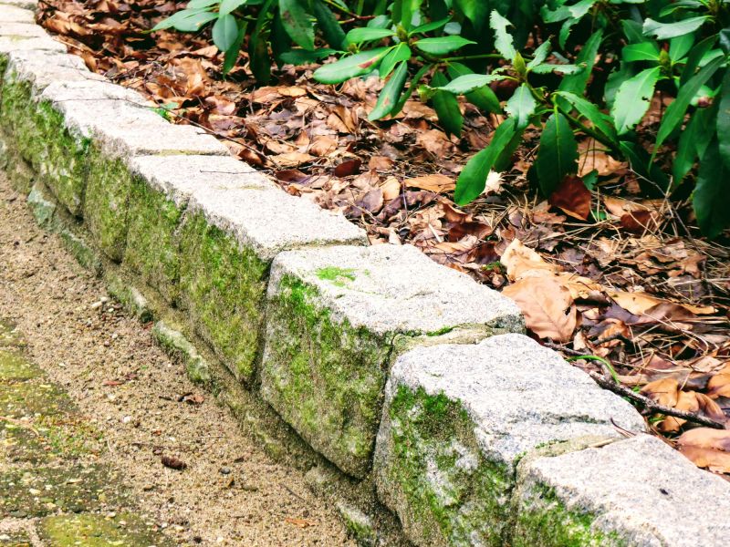 Property Aesthetic Enhancement